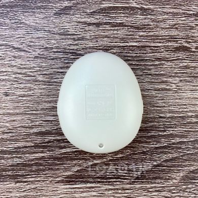Тамагочи Duoyan T459 (3xAAA, 1,5 дюйма, белый)