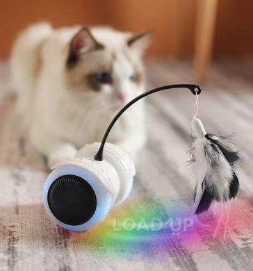 Розумна іграшка для котів Kupet (USB type-C, світиться, з пультом, чорний)
