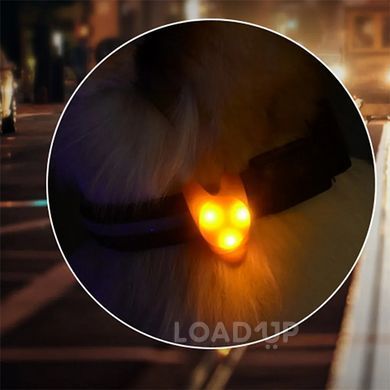 Світлодіодний брелок на нашийник Snowboy SLT-001 (синій) (3 / 7)