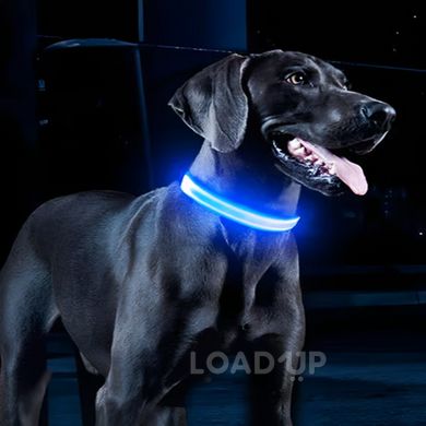 Світлодіодний нейлоновий нашийник для собак з USB зарядкою (2 / 4)