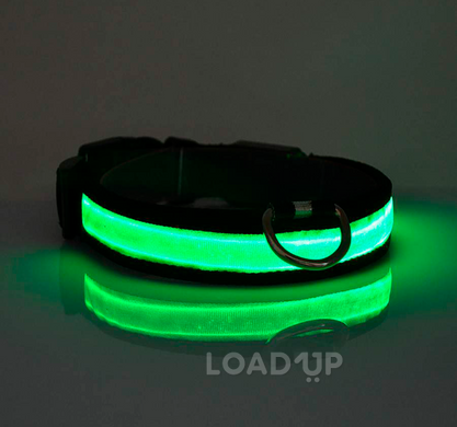 Нашийник, що світиться, для собак з LED стрічкою і зарядкою від USB (жовтий, S) (2 / 2)