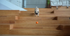 Умная игрушка для собак, котов Cheerble C1221 (135 мАч, влагозащищенная, синяя)