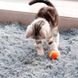 Розумна іграшка для котів Cheerble C0419 (135 мАг, світиться, сіра)